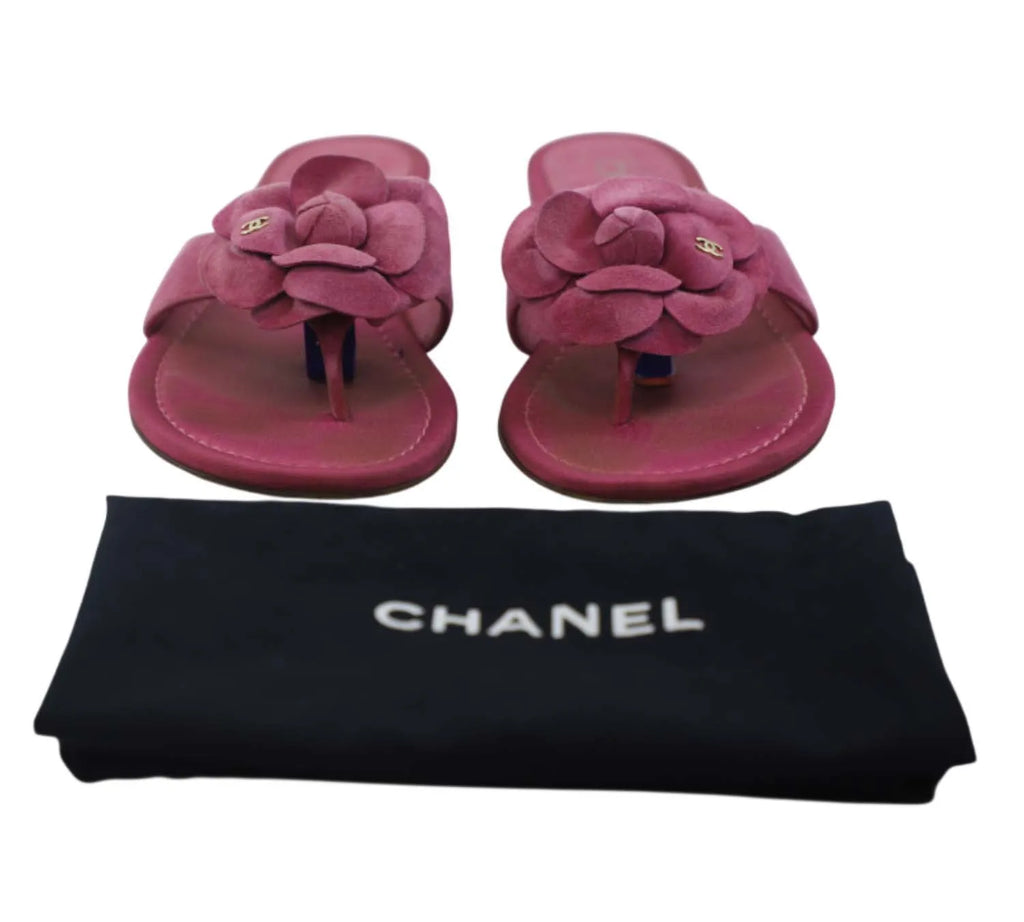 Product -1 (12)