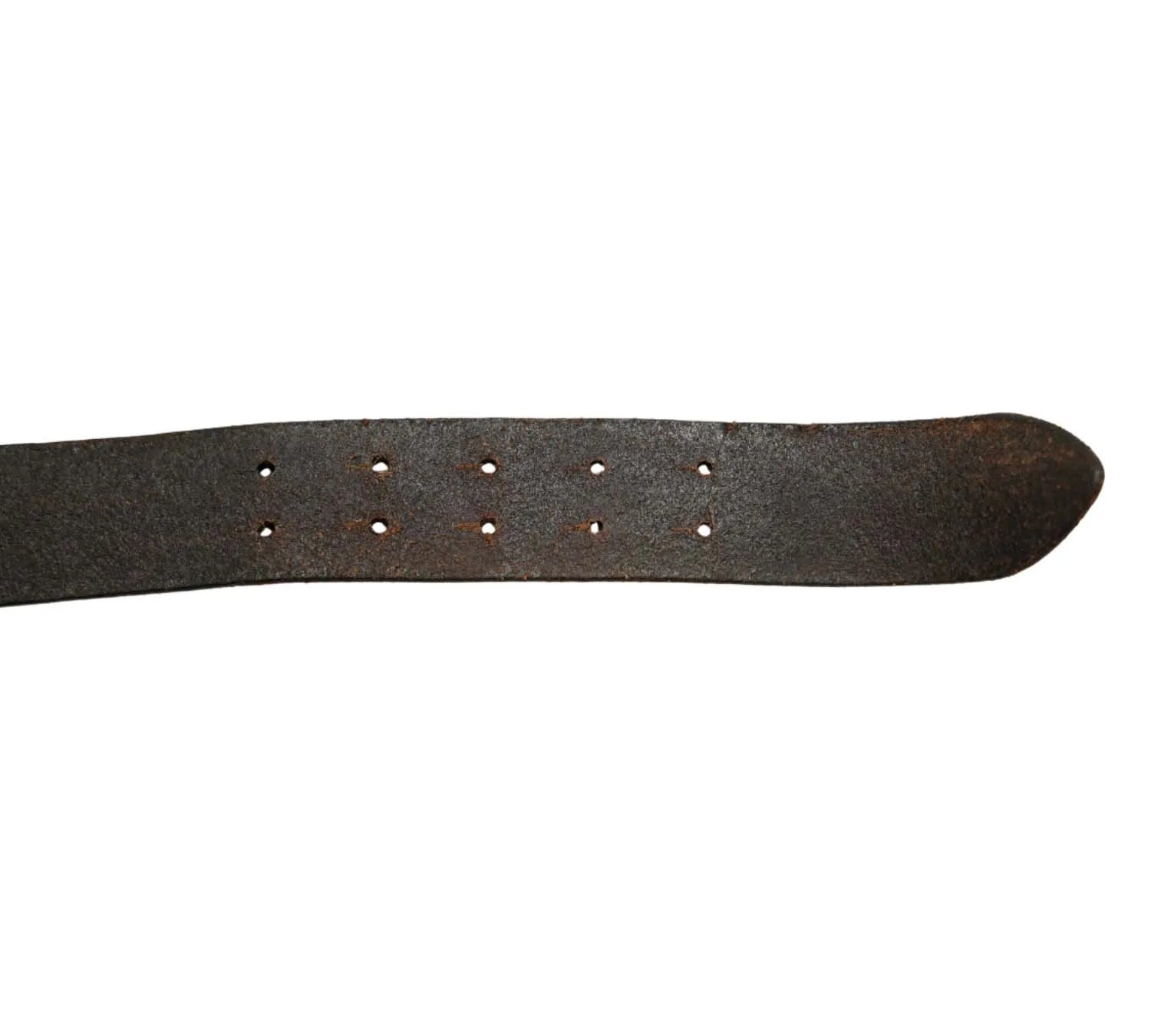 Roberto Cavalli snake belt styled with fashion outfit featuring mirrored buckle
