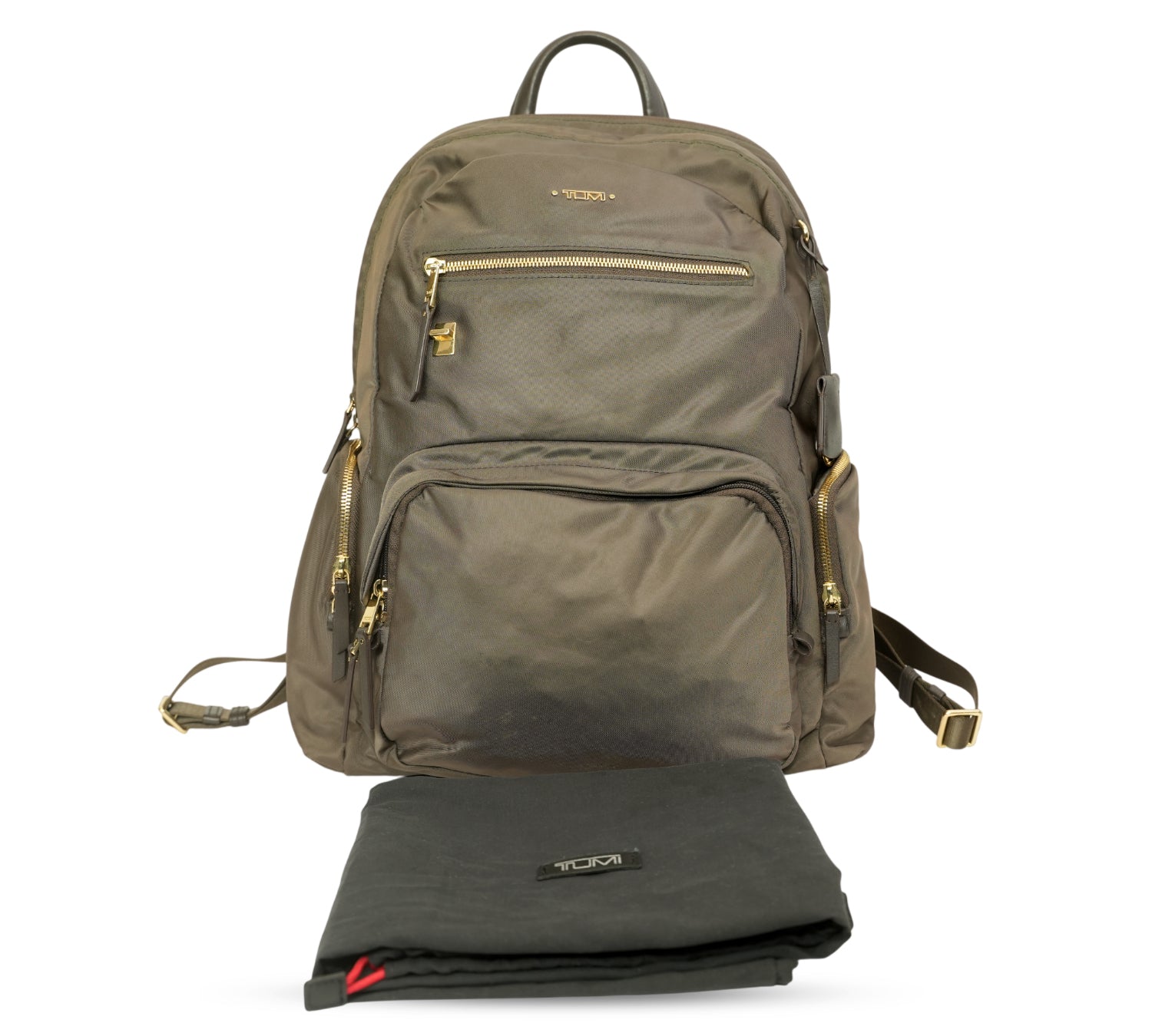 Mink Voyageur Carson Laptop Backpack