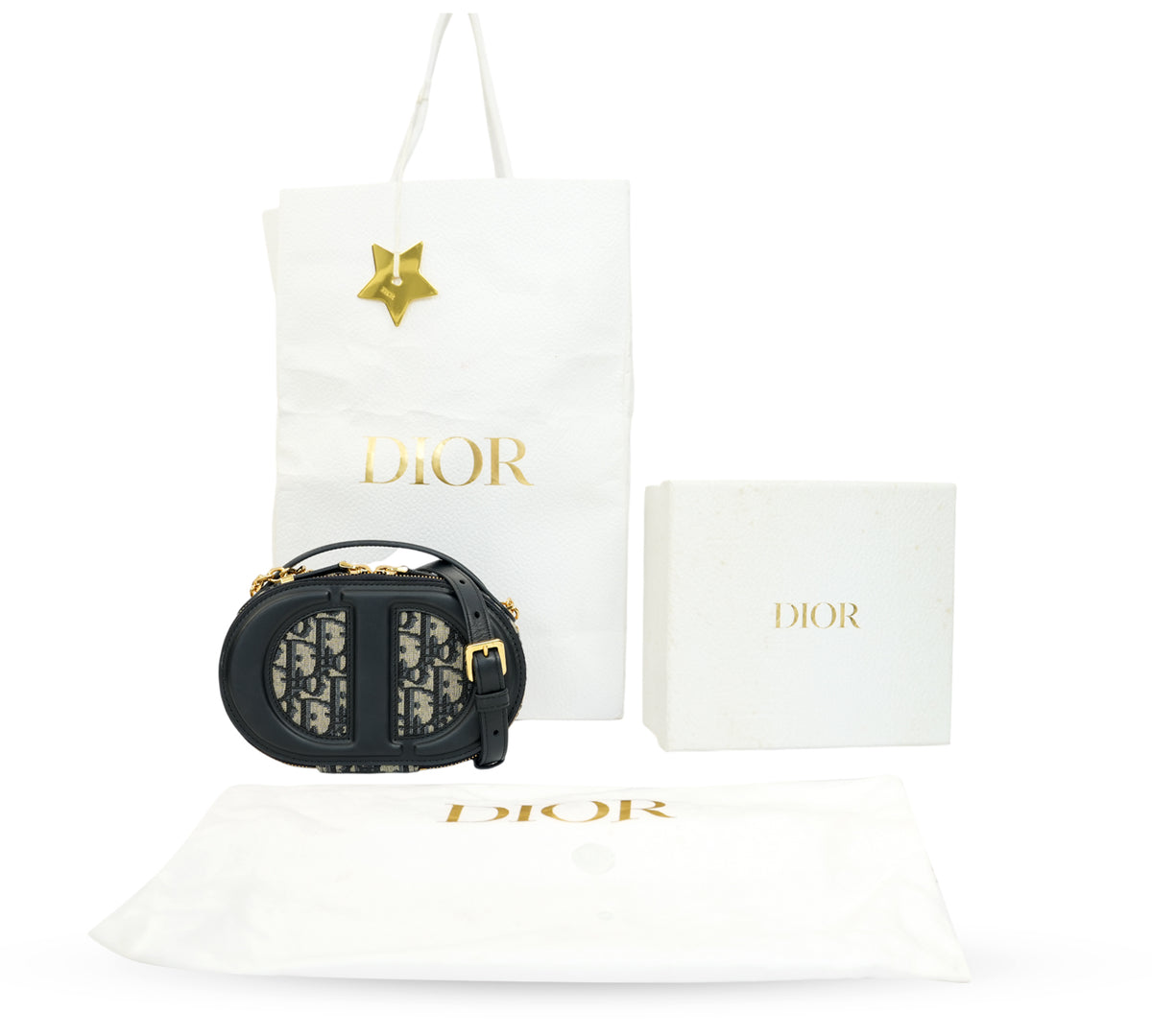 Christian Dior CD Signature Oval Camera Bag