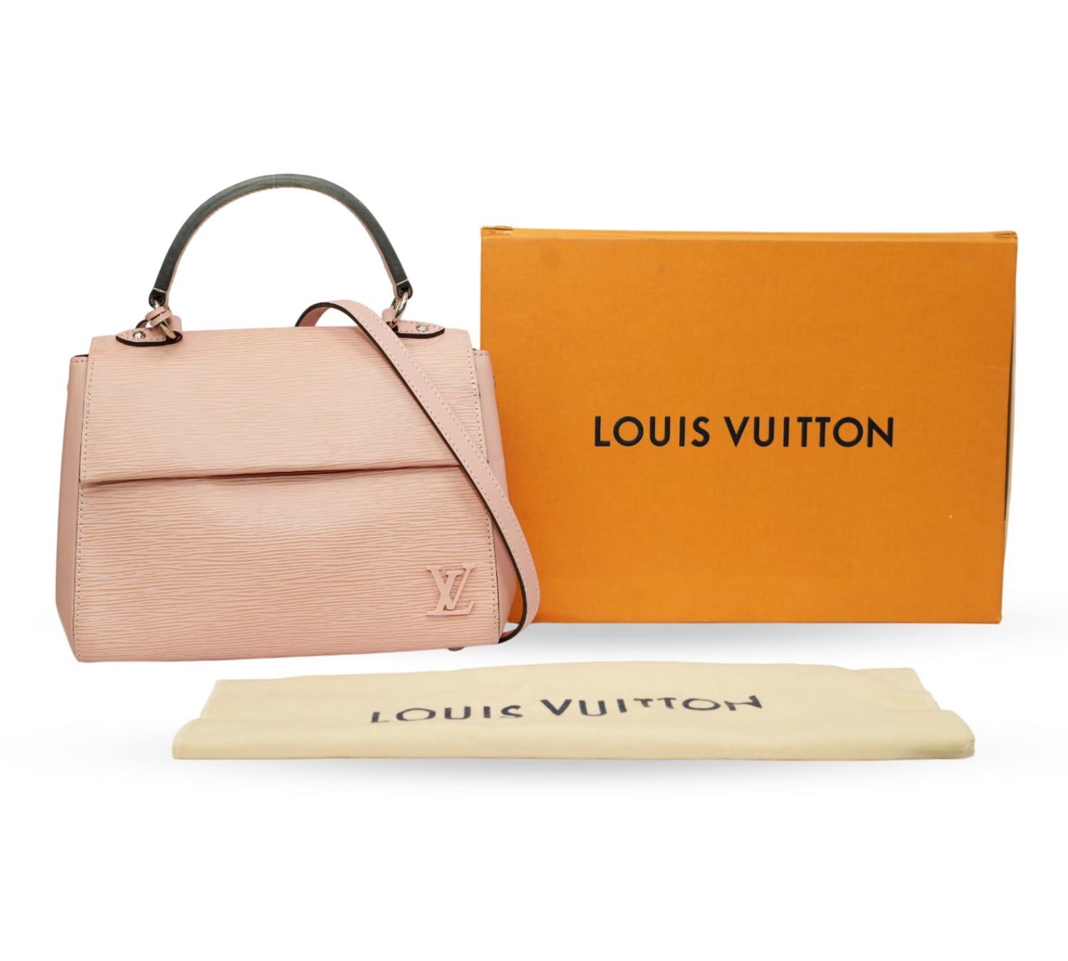 Dune Epi Leather Cluny MM Bag