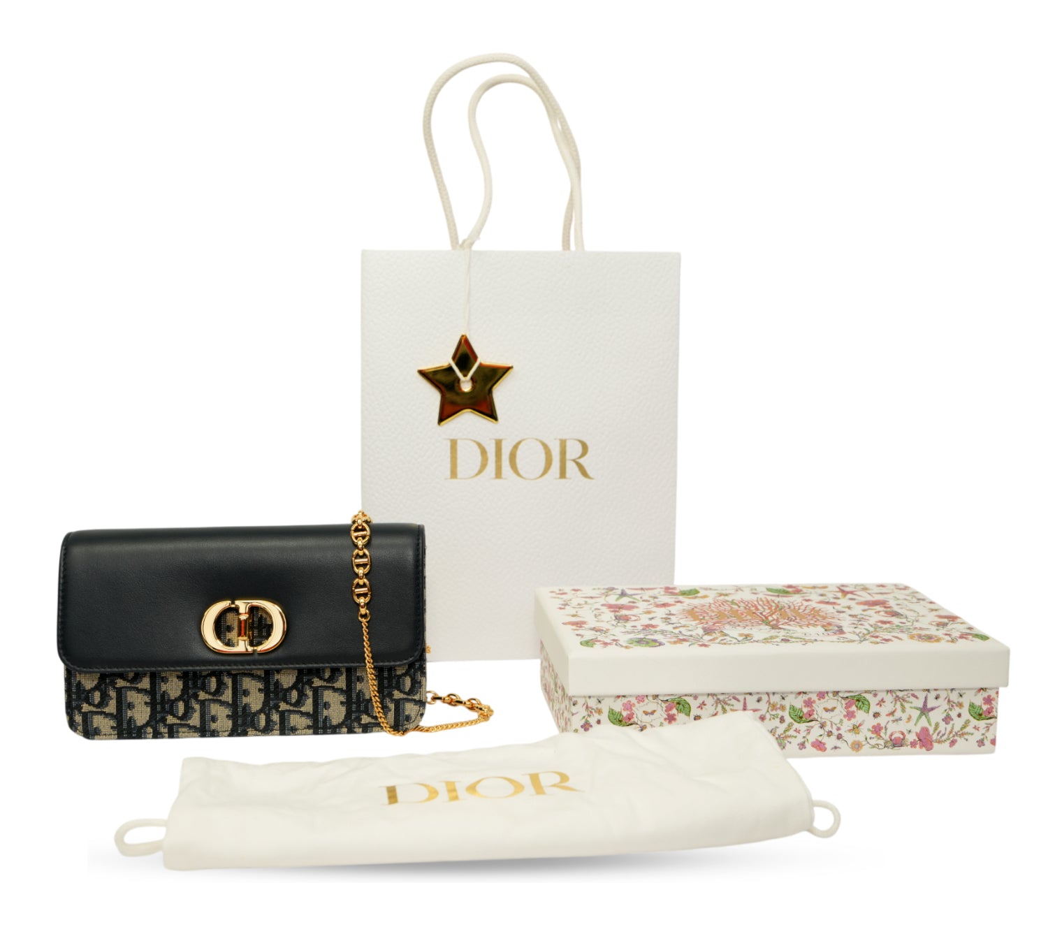 Miss Caro Pouch With Chain