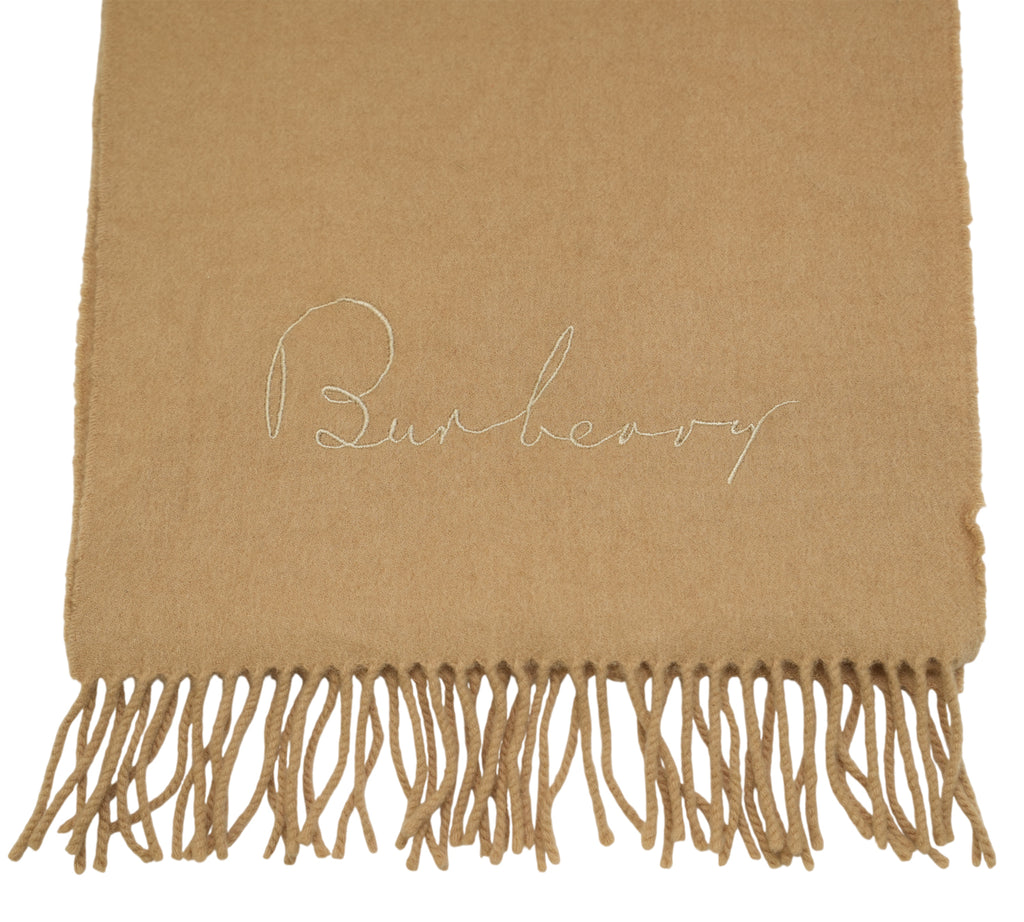 Solid Cashmere Fringed Scarf