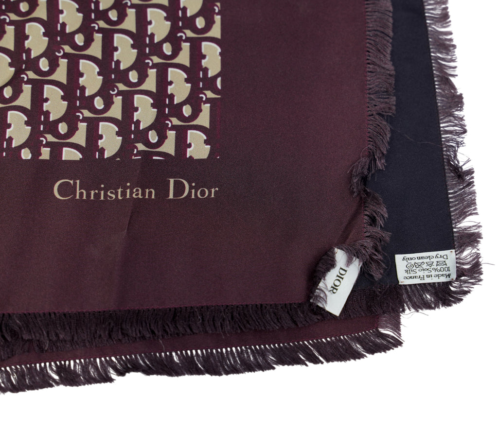Diortwin Reversible Oblique Silk Scarf