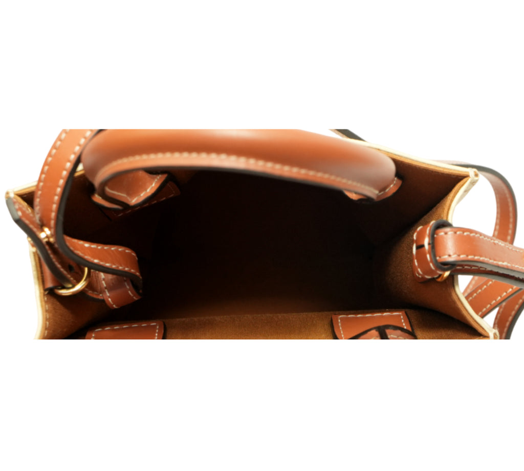 Triomphe Canvas Mini Vertical Cabas Bag