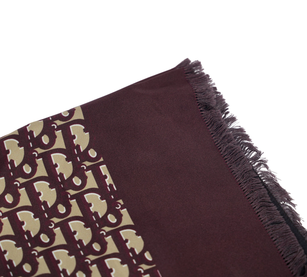 Diortwin Reversible Oblique Silk Scarf