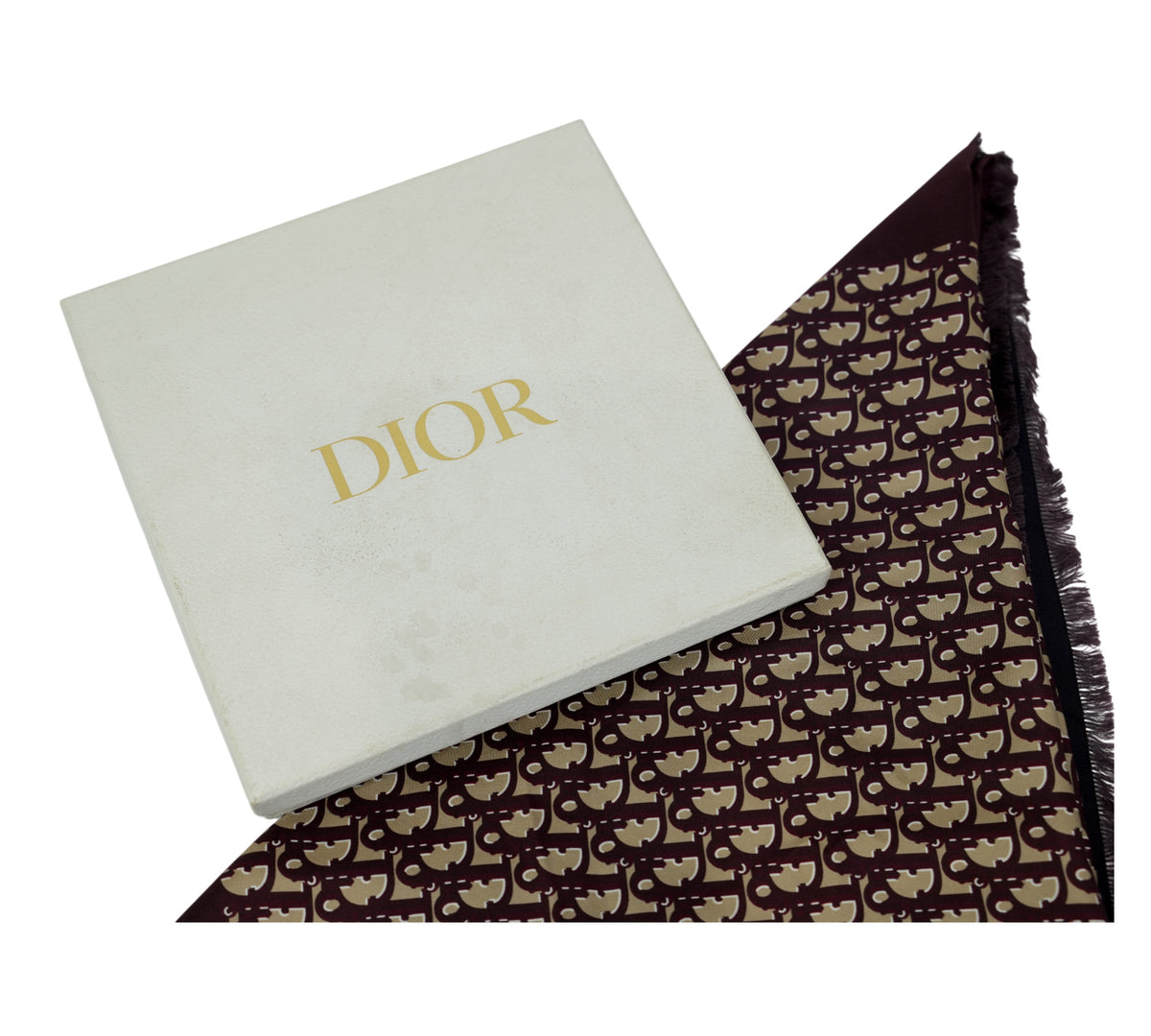 Christian Dior Diortwin Reversible Oblique Silk Scarf